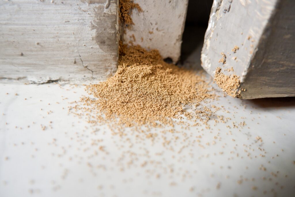 Termite Damage Repair in Southwest, MO